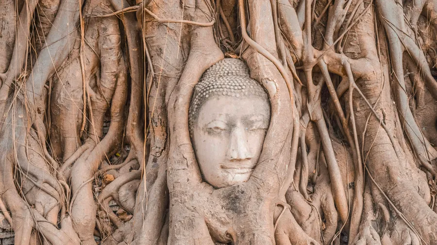 Top 10 Scams in Ayutthaya and How to Avoid Them